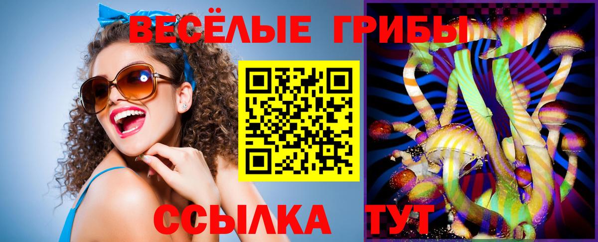 Псилоцибиновые грибы Cubensis  Вход с VPN  Куйбышев 